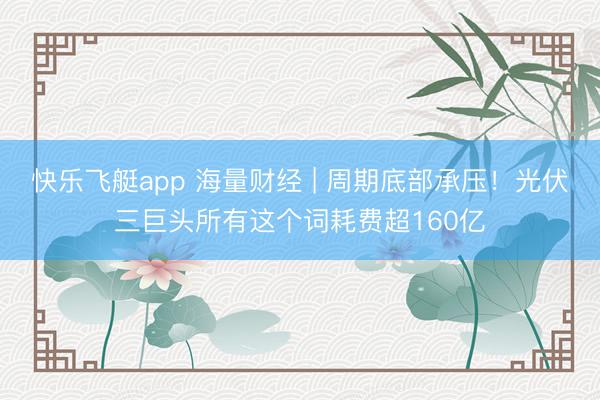 快乐飞艇app 海量财经 | 周期底部承压！光伏三巨头所有这个词耗费超160亿