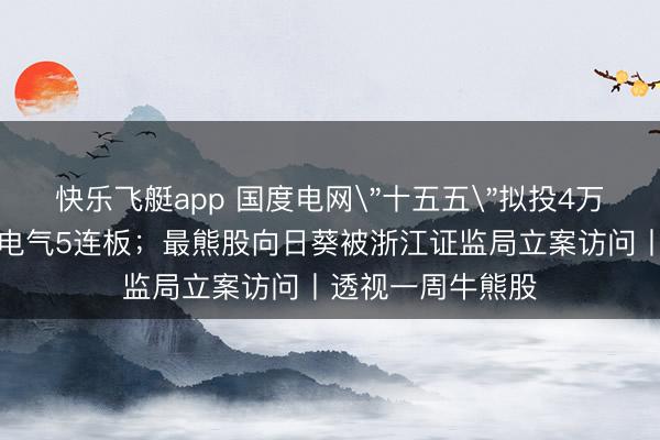 快乐飞艇app 国度电网