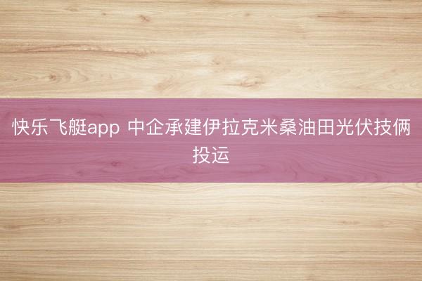 快乐飞艇app 中企承建伊拉克米桑油田光伏技俩投运