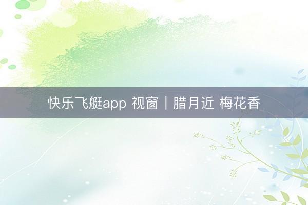 快乐飞艇app 视窗｜腊月近 梅花香