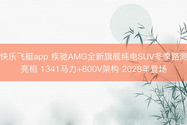 快乐飞艇app 疾驰AMG全新旗舰纯电SUV冬季路测亮相 1341马力+800V架构 2028年登场