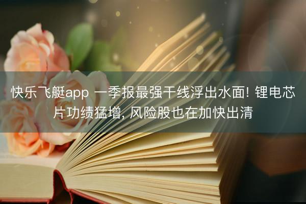 快乐飞艇app 一季报最强干线浮出水面! 锂电芯片功绩猛增， 风险股也在加快出清