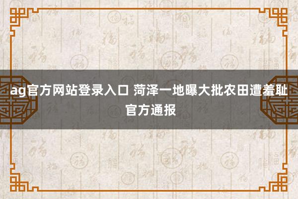 ag官方网站登录入口 菏泽一地曝大批农田遭羞耻 官方通报