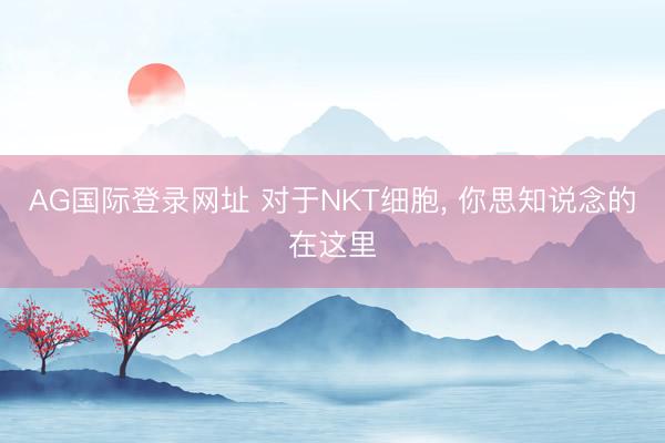 AG国际登录网址 对于NKT细胞， 你思知说念的在这里