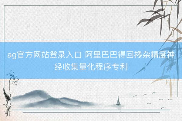 ag官方网站登录入口 阿里巴巴得回搀杂精度神经收集量化程序专利