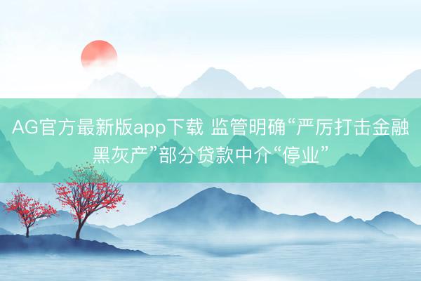 AG官方最新版app下载 监管明确“严厉打击金融黑灰产”部分贷款中介“停业”